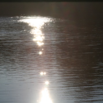Water Sunflare